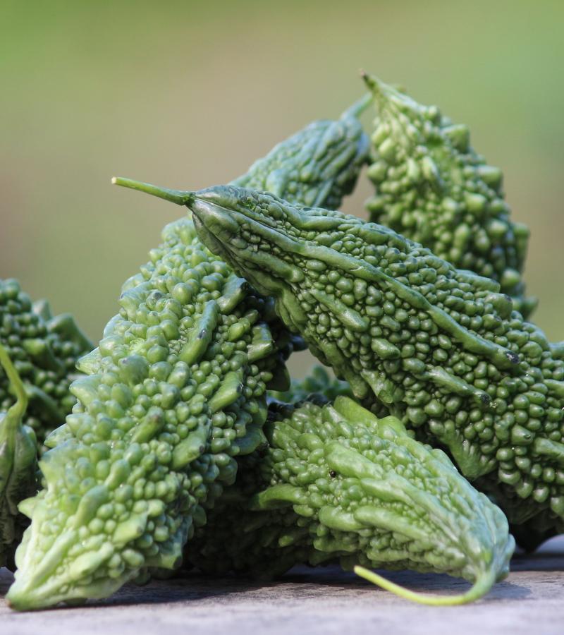 Bitter Gourd (Loose)