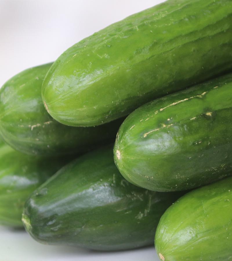 Cucumber
