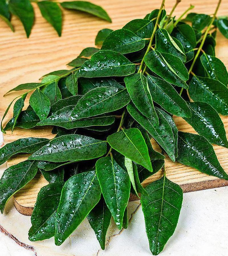 Curry Leaves