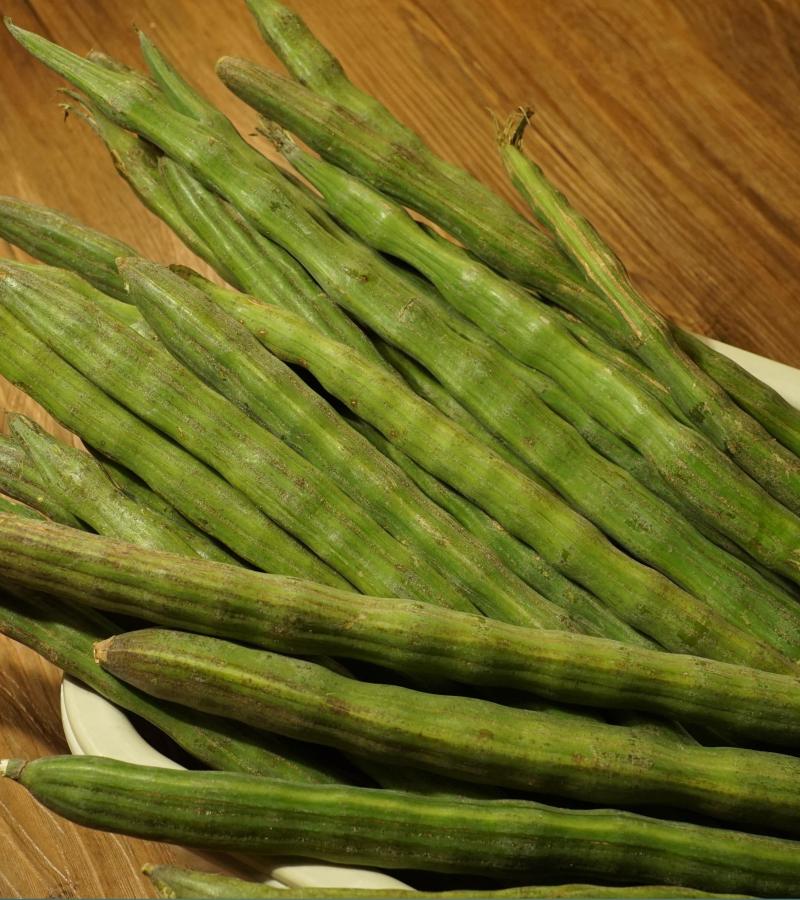 Drumstick/Moringa