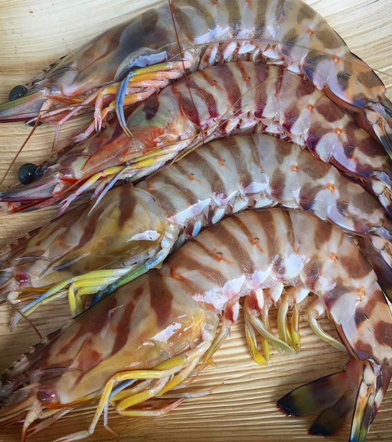 Flower Prawns 500g