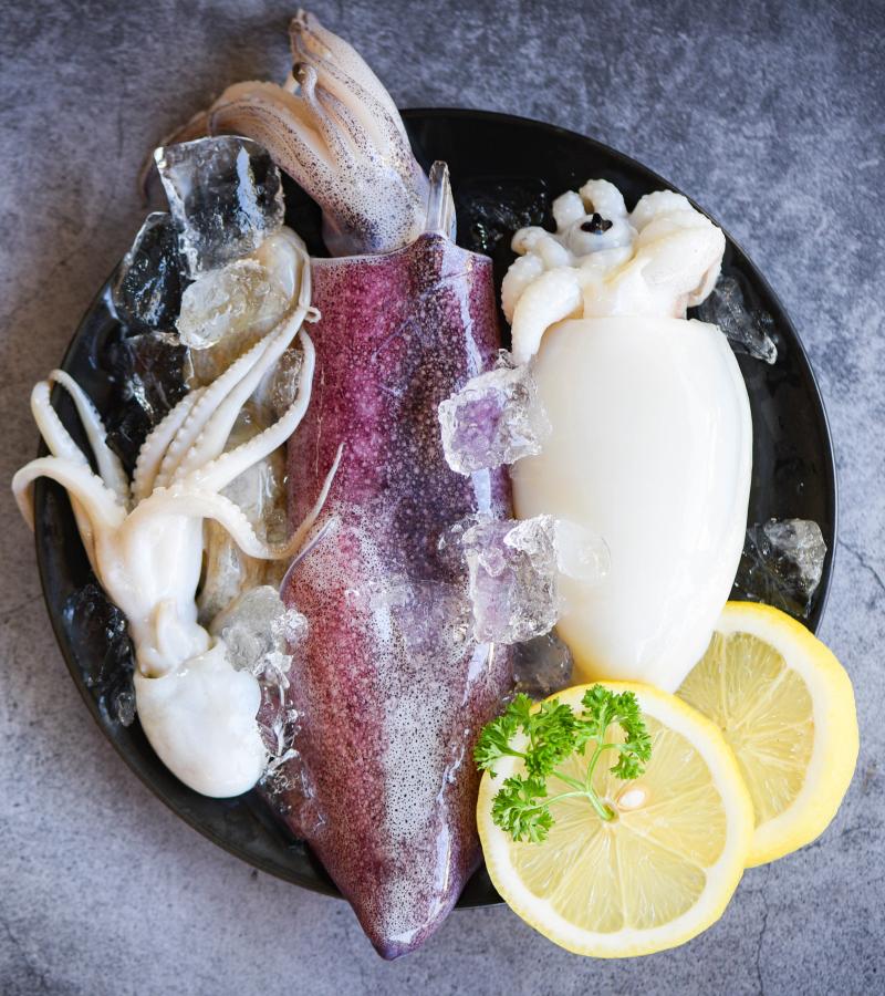 Fresh Squid (Large) 500g