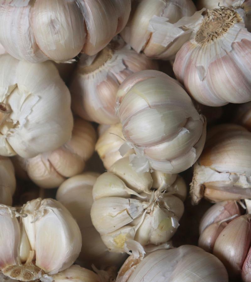 Garlic - Organically Grown (Loose)