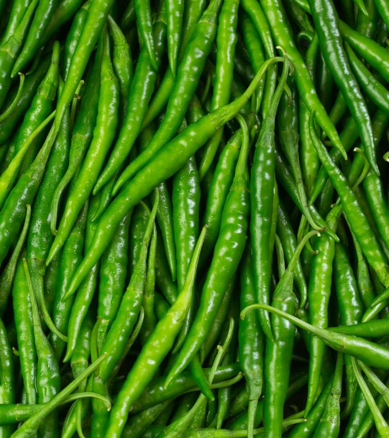 Green Chilli - Organically Grown