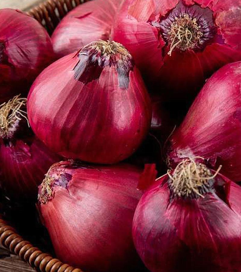 Onion (Multipack)