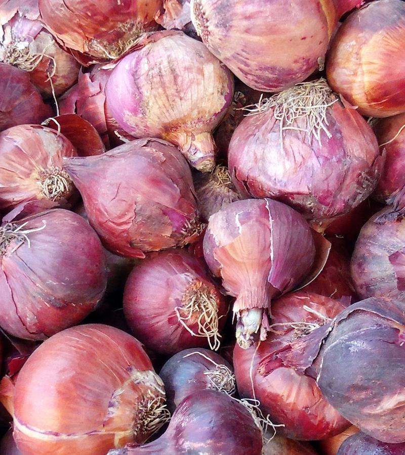 Onion - Sambhar (Loose)