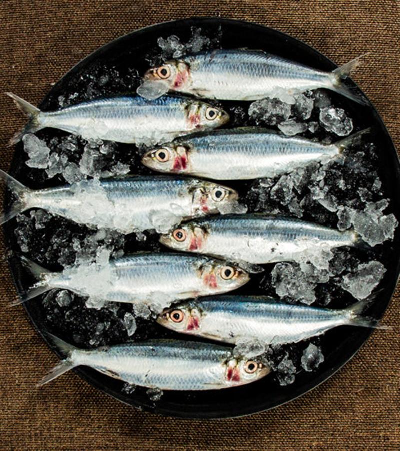 Sardine/Mathi/Chala 500g