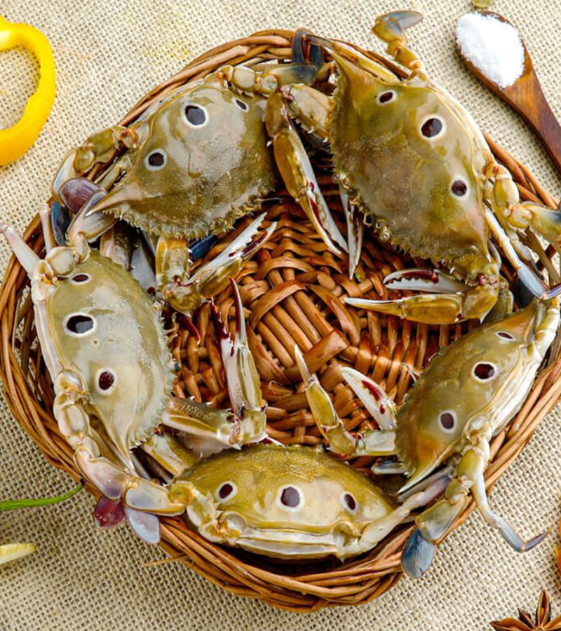 Sea Crab 500g