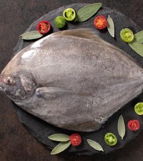 Black  Pomfret / Avoli (medium) 500g thumbnail