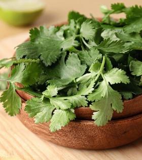 Coriander Leaves thumbnail