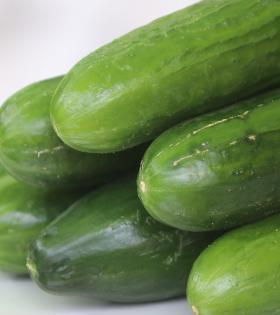 Cucumber thumbnail
