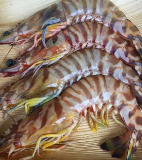 Flower Prawns 500g thumbnail