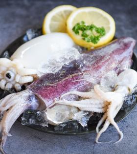 Fresh Squid (Large) 500g thumbnail