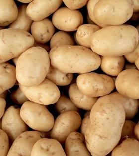 Potato - Organically Grown (Loose) thumbnail