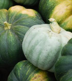 Pumpkin - Organically Grown (Loose) 1 Pc thumbnail